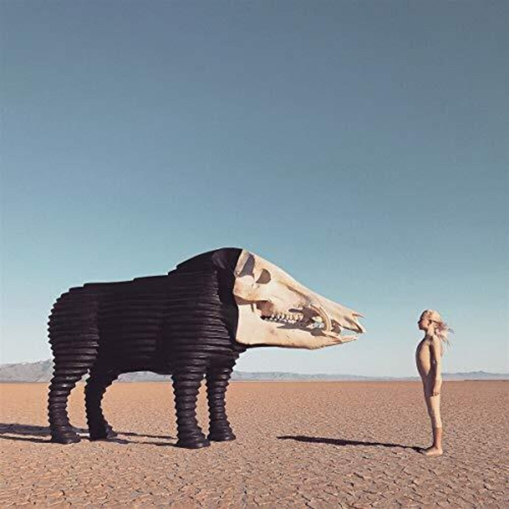 the album cover for Man Man - Dream Hunting In The Valley Of The In-between