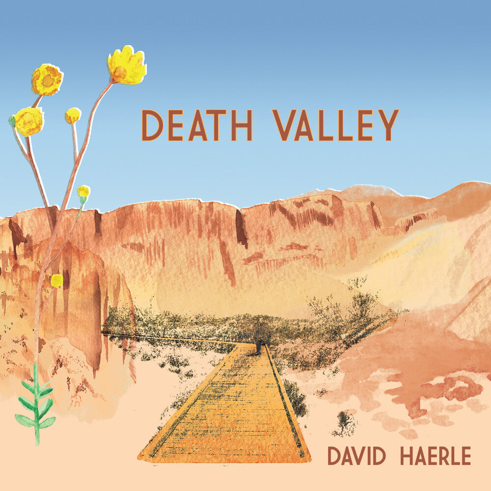 the album cover for David Haerle - Death Valley
