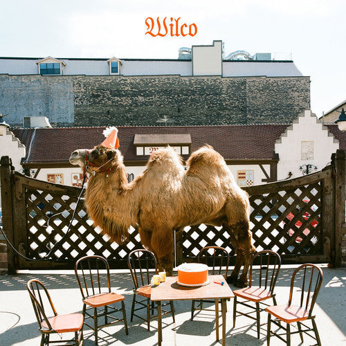 Wilco - Wilco Vinyl Record