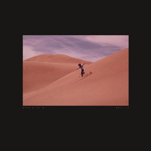 Bing & Ruth - Species Vinyl Record