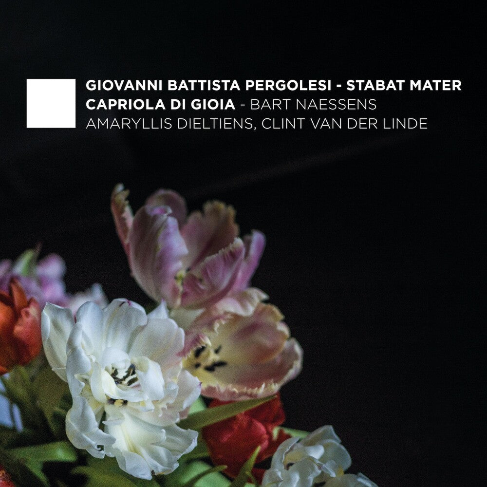 the album cover for Pergolesi / Dieltiens / Naessens - Stabat Mater