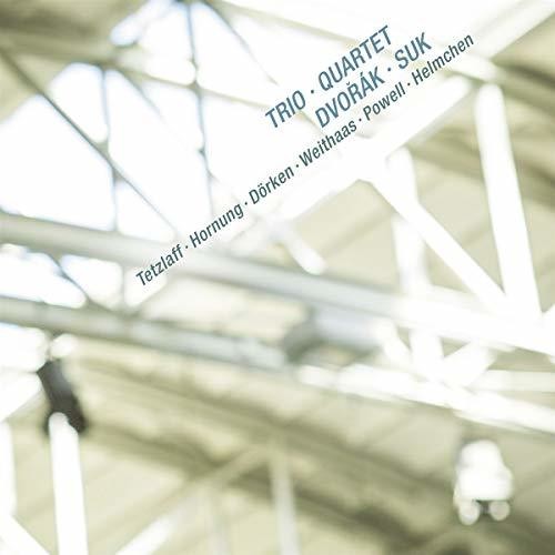 the album cover for Dvorak - Piano Trio in G Minor 26