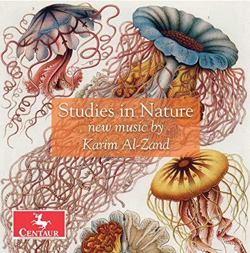 Al-zand / Roitstein / Hauschildt - Studies In Nature - Music CD