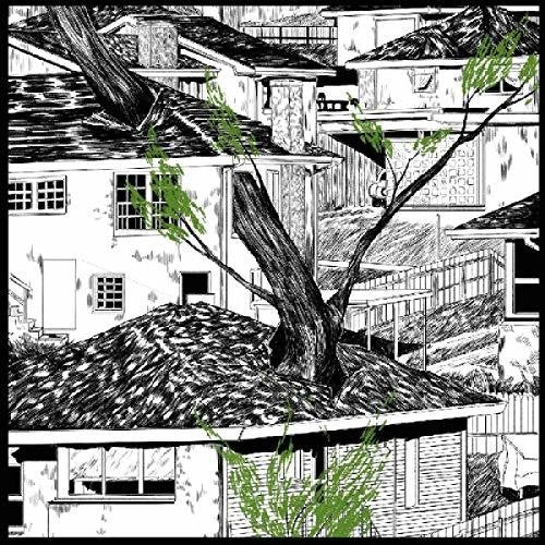 Pile - Odds And Ends - Music CD
