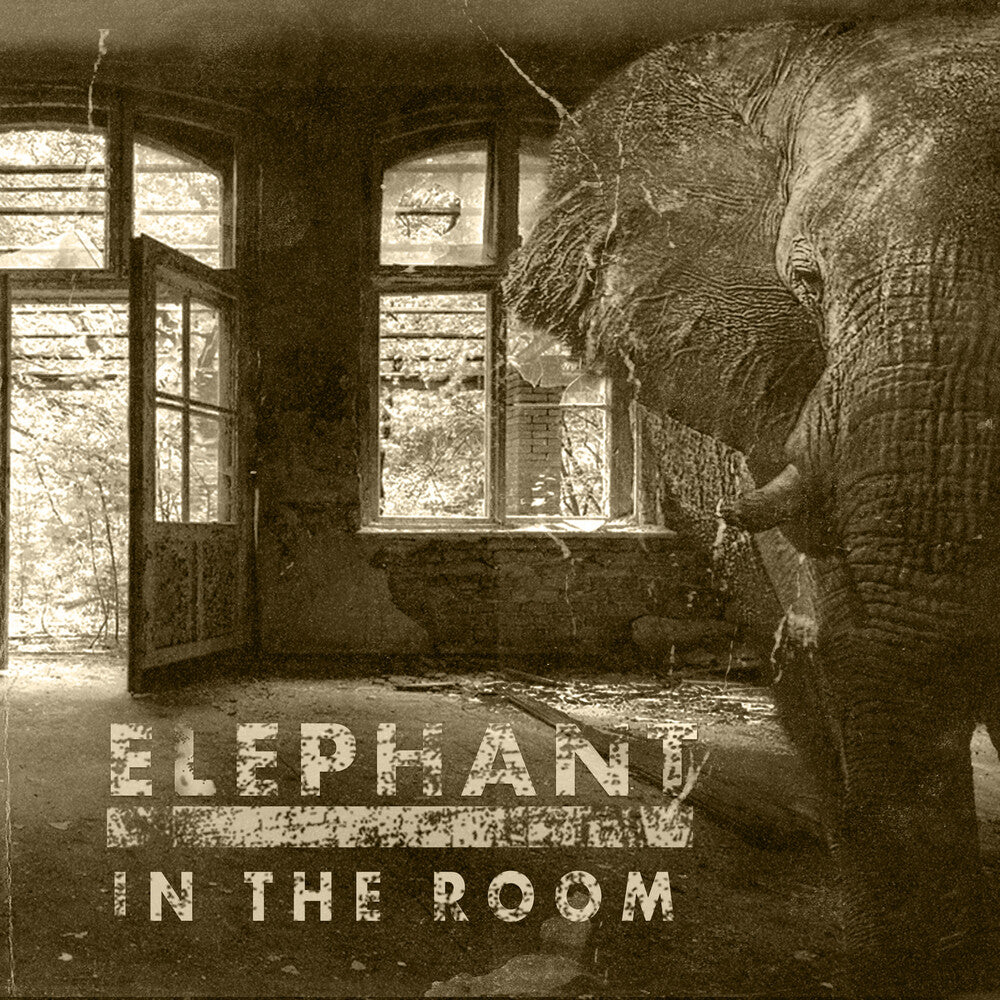 the album cover for Blackballed - Elephant In The Room
