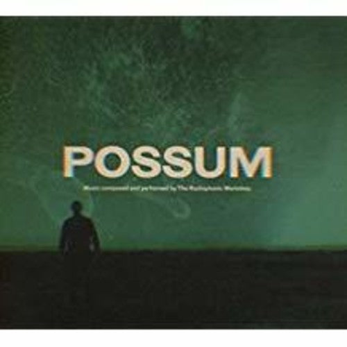 Radiophonic Workshop - Possum - Music CD