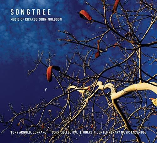 the album cover for Muldoon / Brown - Songtree