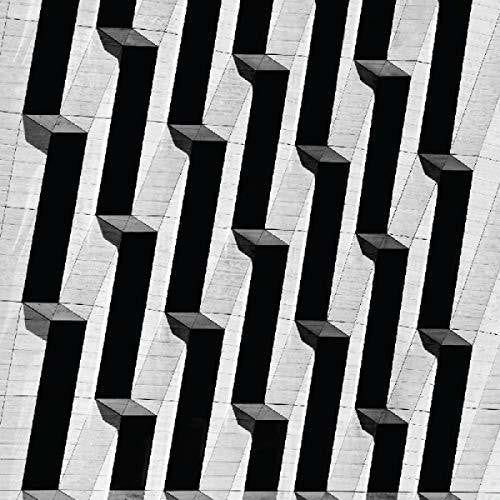 Snow Palms - Everything Ascending - Vinyl Record