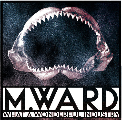 M. Ward - What a Wonderful Industry Vinyl Record