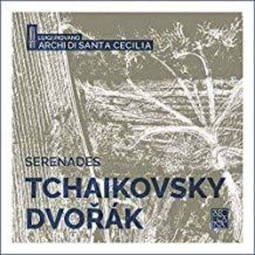 the album cover for Dvorak / Piovano - Serenades