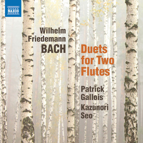the album cover for Gallois / Seo - Duets for 2 Flutes