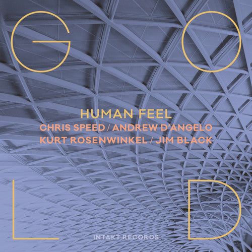the album cover for Chris Speed / Human Feel - Gold
