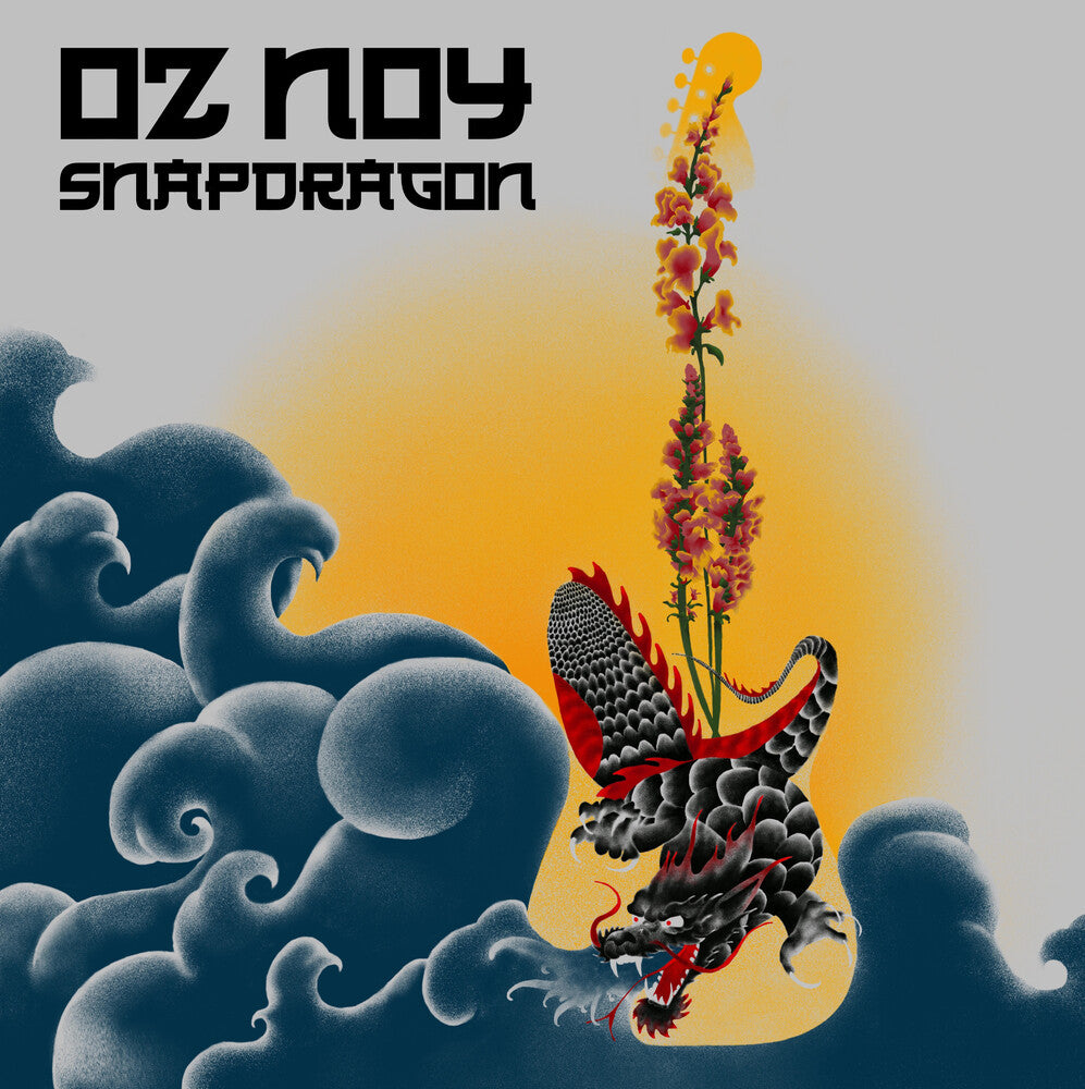 the album cover for Oz Noy - Snapdragon
