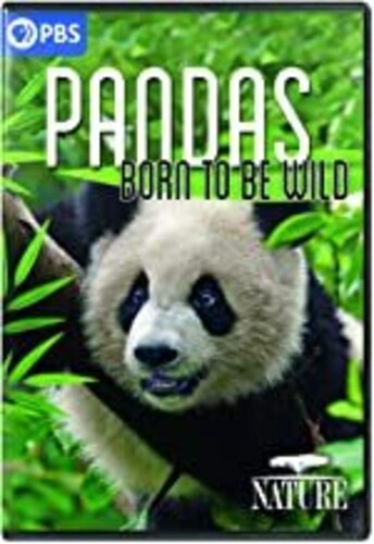 Nature: Pandas - Born To Be Wild - Nature: Pandas - Born To Be Wild - DVD