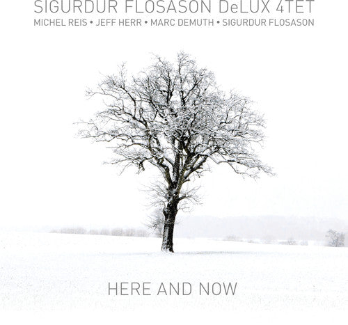 Flosason,sigurdur - Here & Now - Music CD