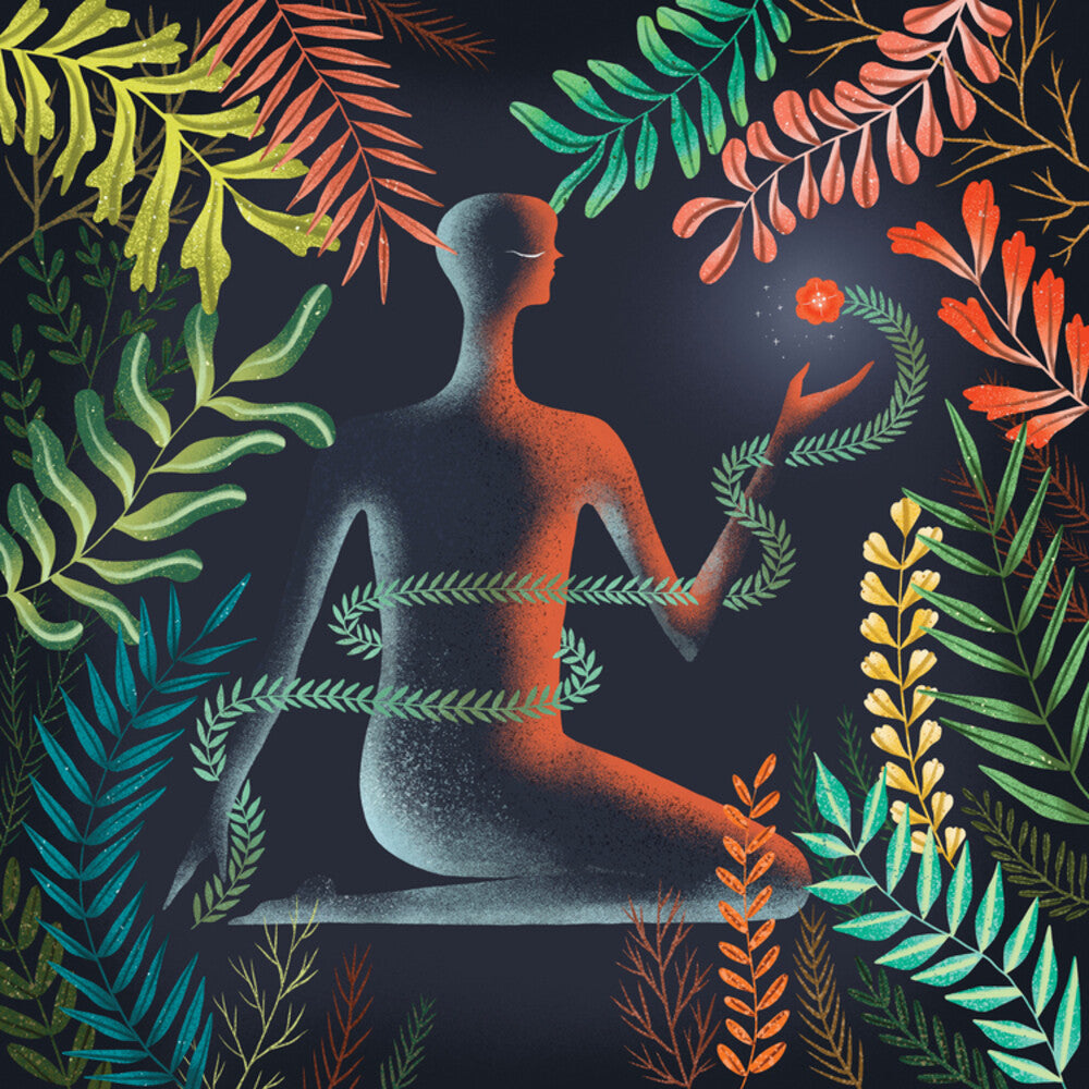 the album cover for Loma - Don't Shy Away