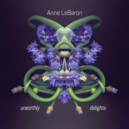Lebaron / Unearthly Delights Ensemble - Unearthly Delights - Music CD