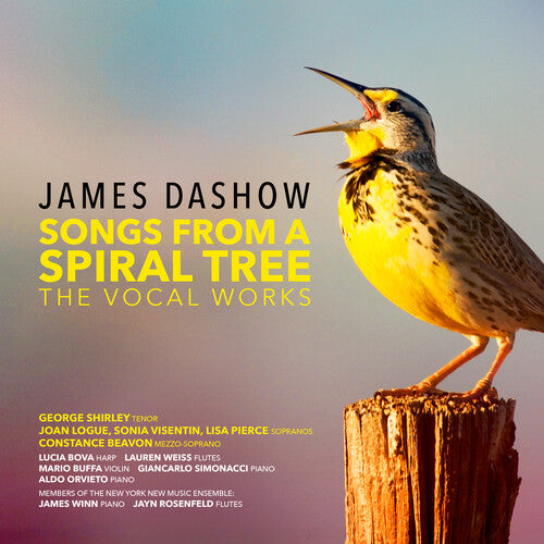 Dashow - Songs From A Spiral Tree - DVD Audio