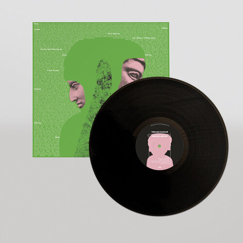 Teenage Fanclub - Endless Arcade Vinyl Record