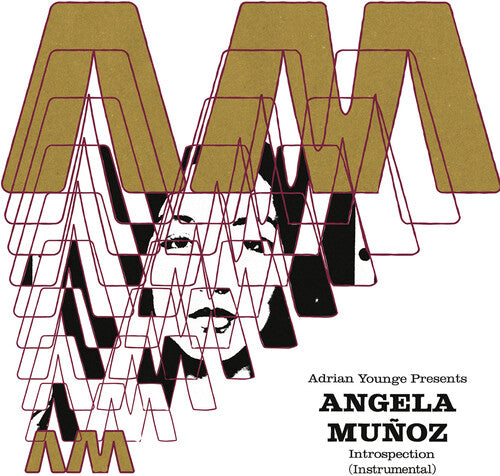 Munoz,angela - Introspection (instrumentals) - Vinyl Record