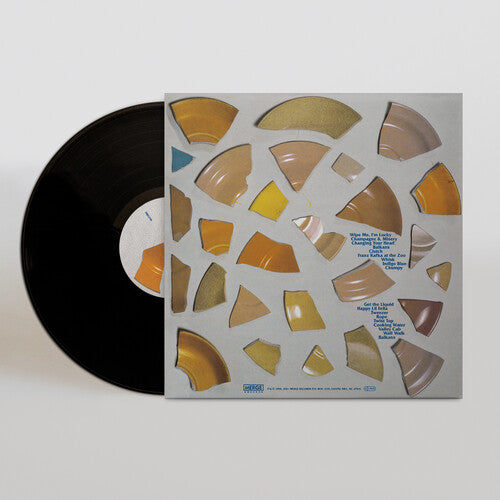 The Clean - Unknown Country Vinyl Record