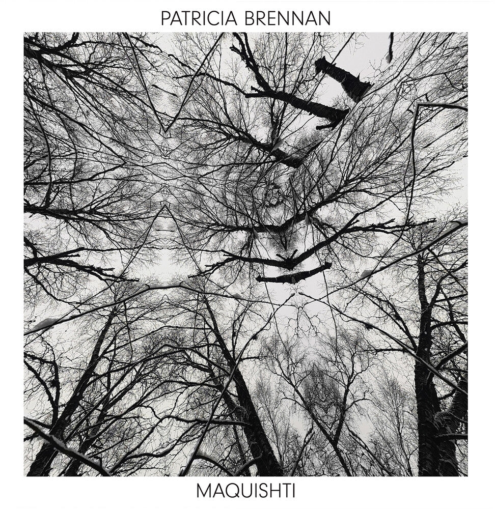 the album cover for Patricia Brennan - Maquishti