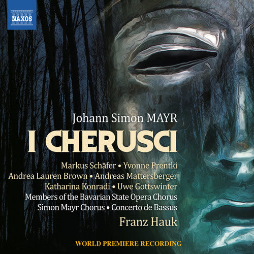 the album cover for Mayr / Schafer / Hauk - I Cherusci