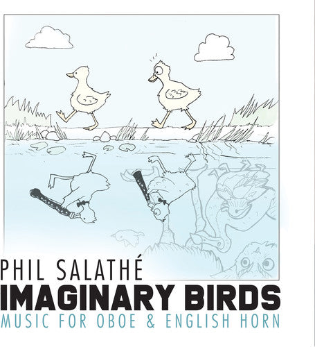 the album cover for Salathe / Kang / Shih - Imaginary Birds