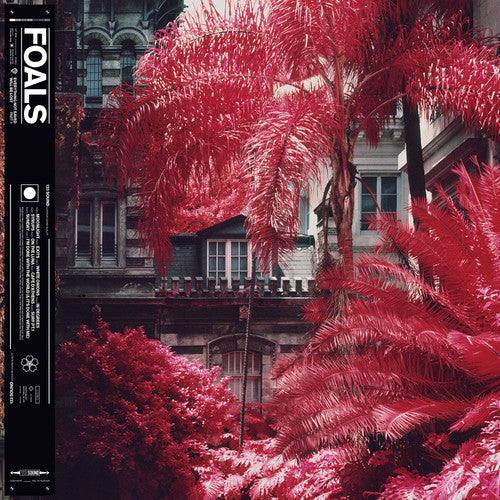 Foals - Everything Not Saved Will Be Lost (part 1) Vinyl Record