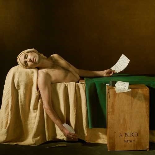 the album cover for Andrew Bird - My Finest Work Yet