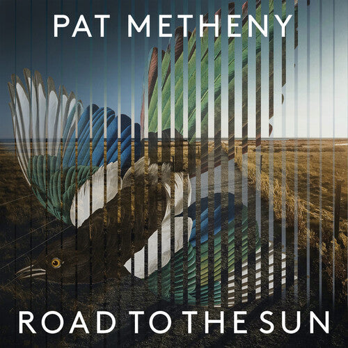 Pat Metheny - Road To The Sun Vinyl Record