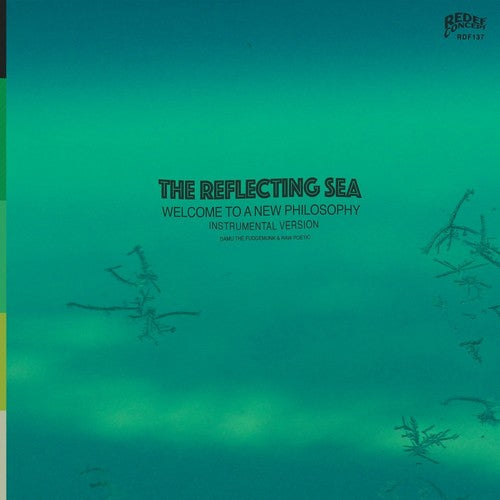 Damu the Fudgemunk & Raw Poetic - Instrumentals From The Reflecting Sea Vinyl Record