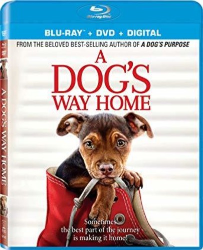 Dog's Way Home - Dog's Way Home - Blu-ray