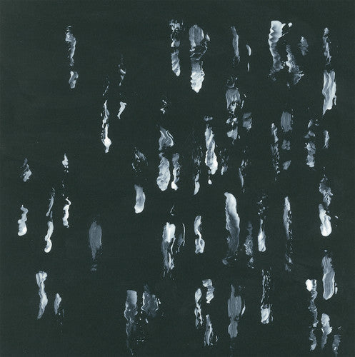 Sightings - Amusers and Puzzlers Vinyl Record