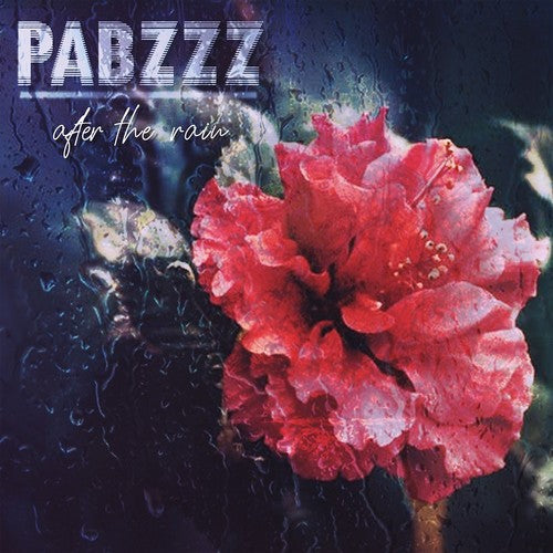Pabzzz - After The Rain Vinyl Record