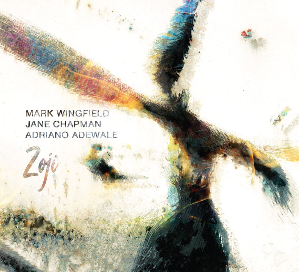the album cover for Mark Wingfield / Chapman,Jane / Adewale,Adriano - Zoji