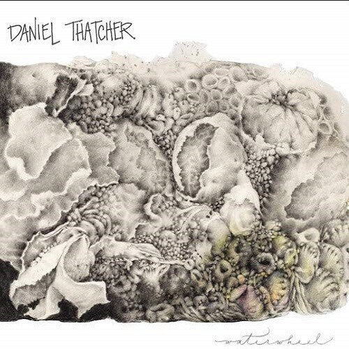 Thatcher,daniel - Waterwheel - Music CD