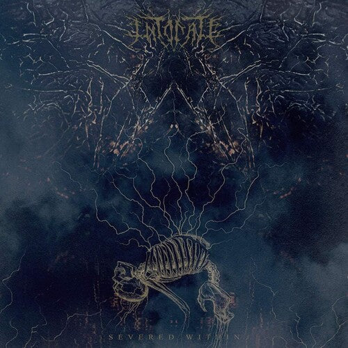 Intonate - Severed WIthin Vinyl Record