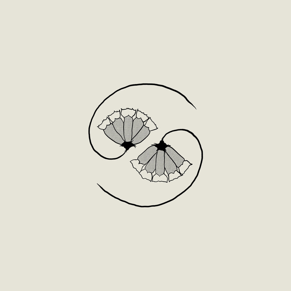 the album cover for Godspeed You! Black Emperor - G_D's Pee At State's End!