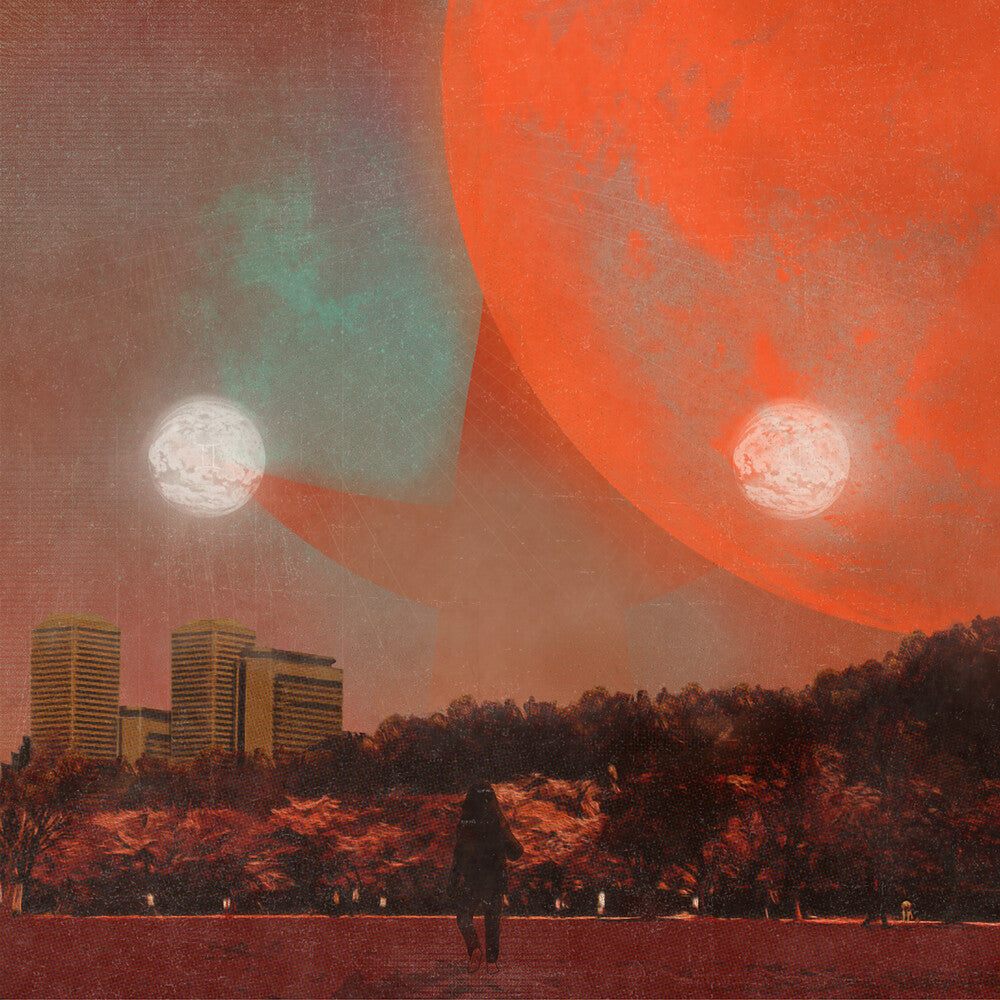 the album cover for Erika Dohi - I Castorpollux