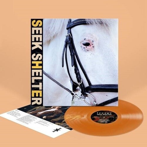 Iceage - Seek Shelter - Vinyl Record