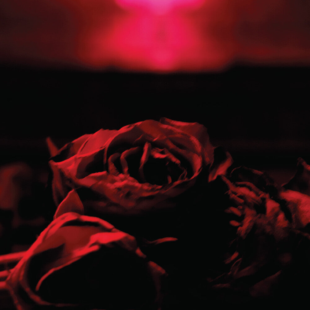 Roses (Mod) Music CD