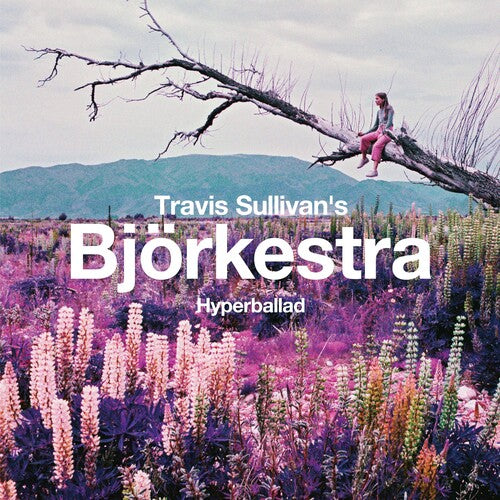 Travis Sullivan's Bjorkestra - Hyperballad / Venus As A Boy - Vinyl Record