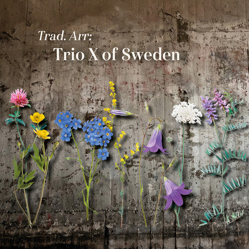 Trad Arr / Various - Trad Arr / Various - Music CD