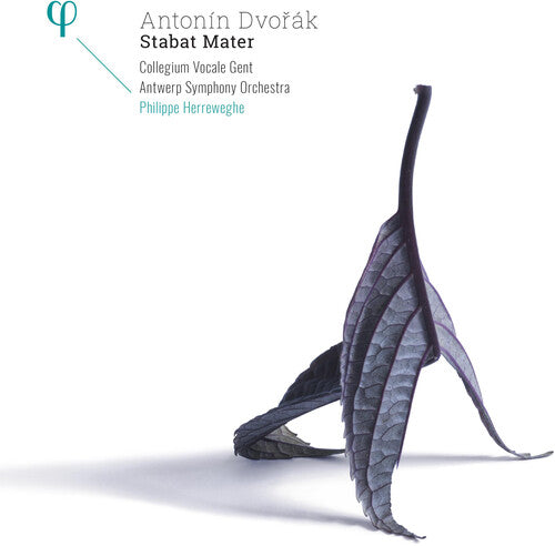 Dvorak / Herreweghe / Antwerp Sym Orch - Stabat Mater - Vinyl Record