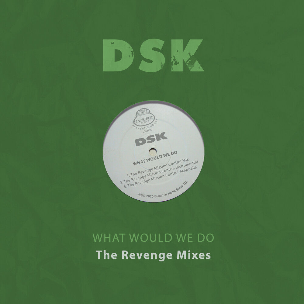 the album cover for DSK - What Would We Do - The Revenge Mixes (Mod)