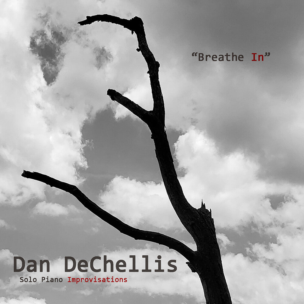 the album cover for Dan Dechellis - Breathe In