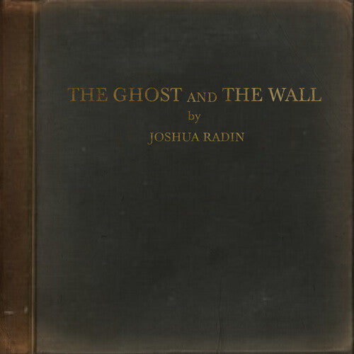 Joshua Radin - The Ghost And The Wall Vinyl Record
