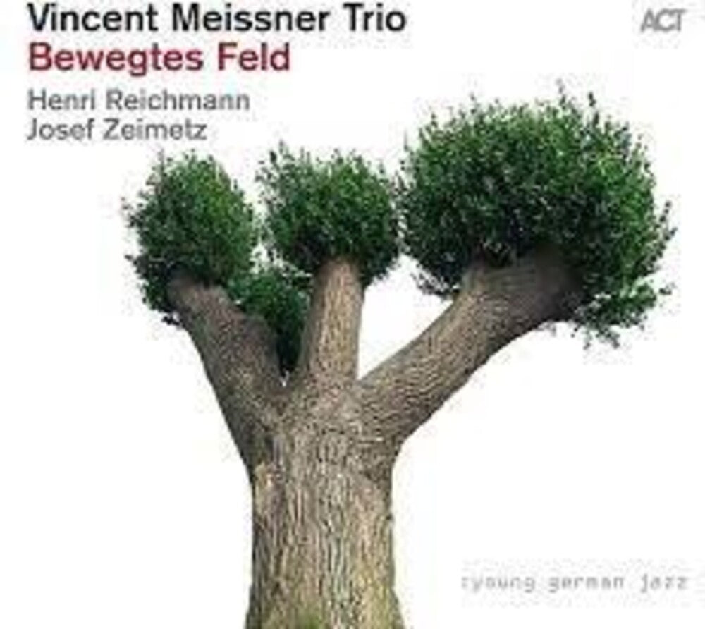 the album cover for Vincent Meissner Trio - Bewegtes Feld (Aus)