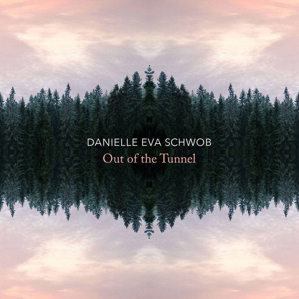 the album cover for Schwob - Out of the Tunnel